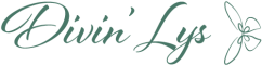 logo-divinlys-vert